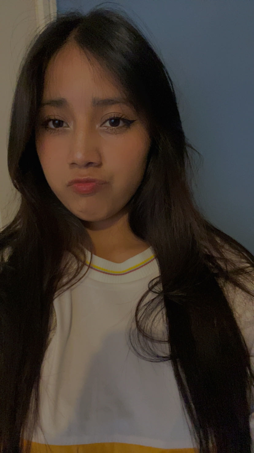 Girl smiling during an online chat